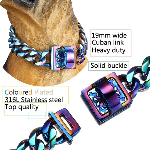 ❤️ Coleira Arco - Íris em Aço com 19 mm de Largura - Para Cães ❤️ - PetDoctors - Loja Online