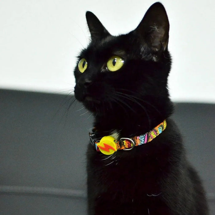 Coleira Boom para cães ou gatos (DASHI) - 4 tamanhos - PetDoctors - Loja Online