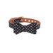 Coleira com Laço ou com Bandana, com Trela a condizer como opção, para Cães - PetDoctors - Loja Online