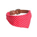 Coleira com Laço ou com Bandana, com Trela a condizer como opção, para Cães - PetDoctors - Loja Online