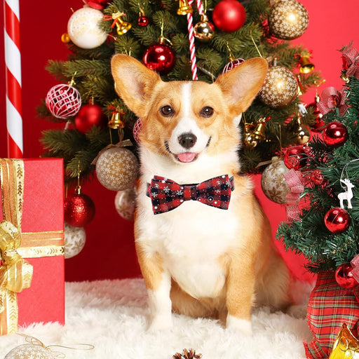 Coleira de Natal para cão ou gato com gravata borboleta - PetDoctors - Loja Online
