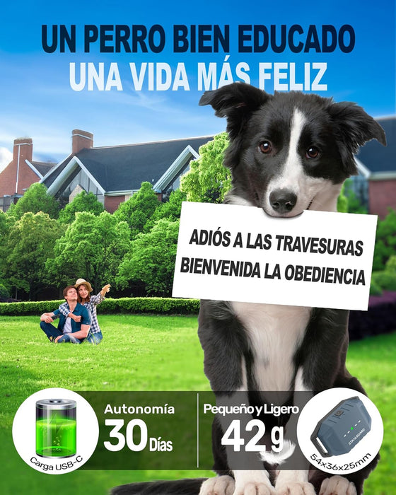 Coleira de treino para cães, sem descarga elétrica, 9 níveis, som, vibração e impulso, alcance de 3000 m, recarregável, automonomia 30 dias, impermeável IP67 - PetDoctors - Loja Online