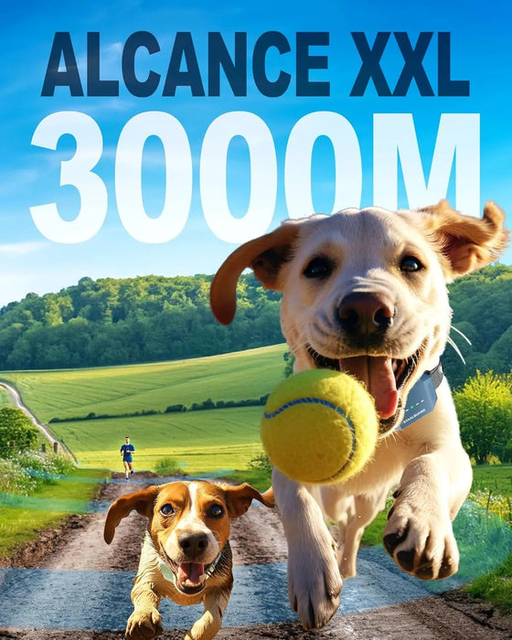 Coleira de treino para cães, sem descarga elétrica, 9 níveis, som, vibração e impulso, alcance de 3000 m, recarregável, automonomia 30 dias, impermeável IP67 - PetDoctors - Loja Online