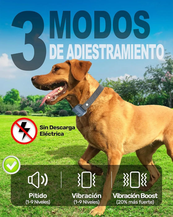 Coleira de treino para cães, sem descarga elétrica, 9 níveis, som, vibração e impulso, alcance de 3000 m, recarregável, automonomia 30 dias, impermeável IP67 - PetDoctors - Loja Online