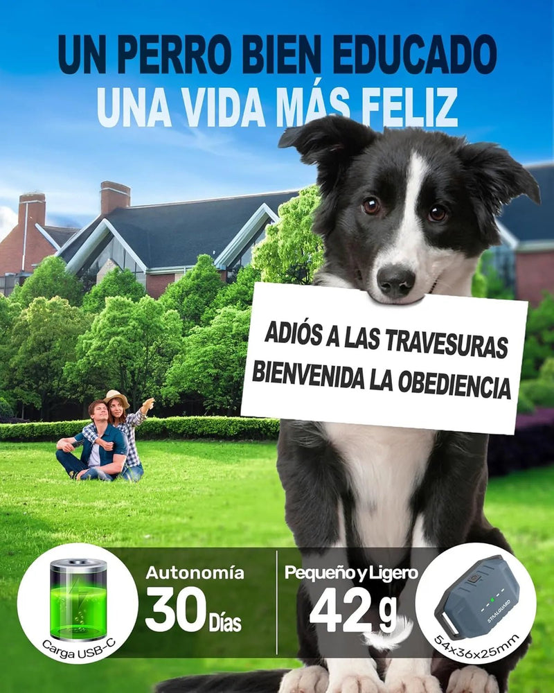Coleira de treino para cães, sem descarga elétrica, 9 níveis, som, vibração e impulso, alcance de 3000 m, recarregável, automonomia 30 dias, impermeável IP67 - PetDoctors - Loja Online