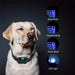 Coleira de Treino Recarregável com LCD Display (800 metros) - PetDoctors - Loja Online