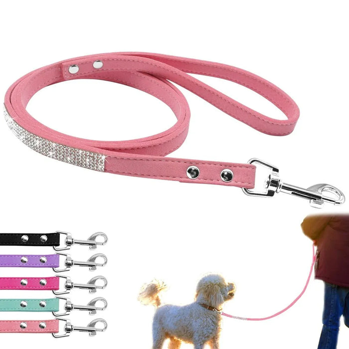 Coleira e Trela, em Cabedal, com Cristais, para Gatos ou Cães de Raças Pequenas - PetDoctors - Loja Online