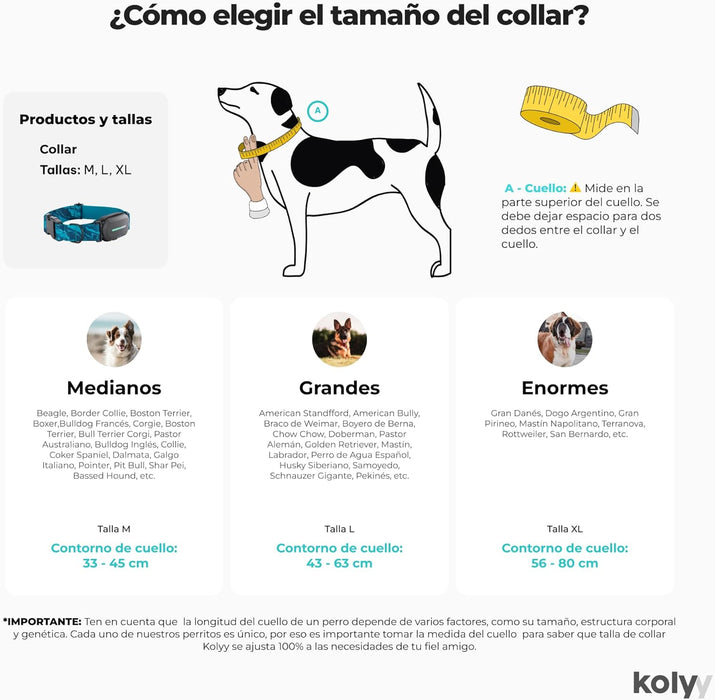 Coleira GPS para cães controlo via App - localização internacional em tempo real - rastreamento de saúde - 3 zonas seguras - Kolyy Série 2 - PetDoctors - Loja Online