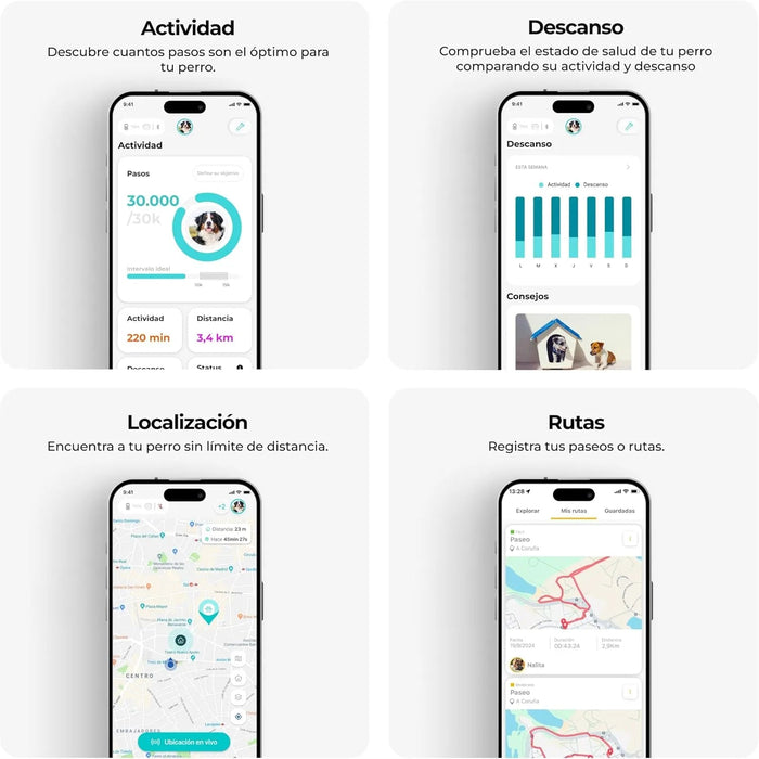 Coleira GPS para cães controlo via App - localização internacional em tempo real - rastreamento de saúde - 3 zonas seguras - Kolyy Série 2 - PetDoctors - Loja Online