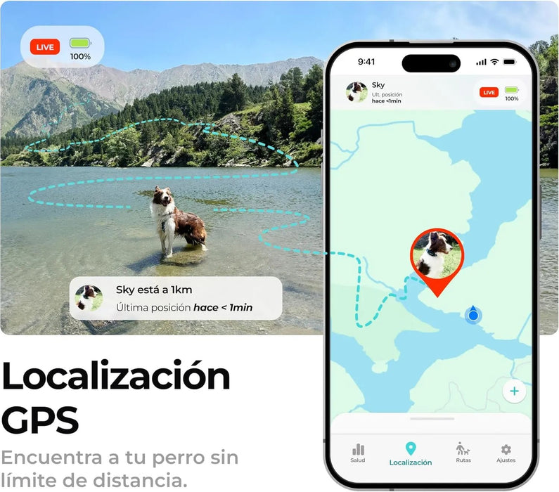 Coleira GPS para cães controlo via App - localização internacional em tempo real - rastreamento de saúde - 3 zonas seguras - Kolyy Série 2 - PetDoctors - Loja Online