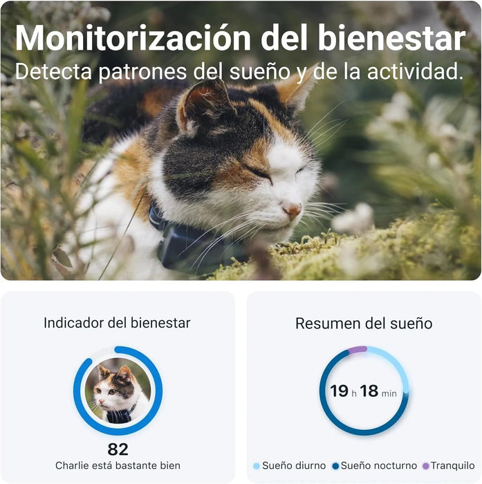 Coleira GPS para Gatos, atualizações de localização 24 horas por dia, 7 dias por semana e análise do território, alerta anti - fuga, distância ilimitada - Tractive CAT Mini - PetDoctors - Loja Online