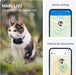 Coleira GPS para Gatos, atualizações de localização 24 horas por dia, 7 dias por semana e análise do território, alerta anti - fuga, distância ilimitada - Tractive CAT Mini - PetDoctors - Loja Online