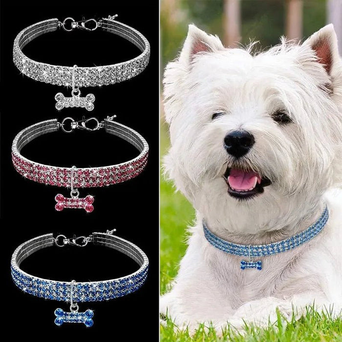 Coleira "Jet - Set" para Cães - PetDoctors - Loja Online