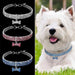 Coleira "Jet - Set" para Cães - PetDoctors - Loja Online