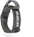 Coleira Julius - K9 - Cinza e Côr com pega, fecho de segurança e patch intermutável - PetDoctors - Loja Online