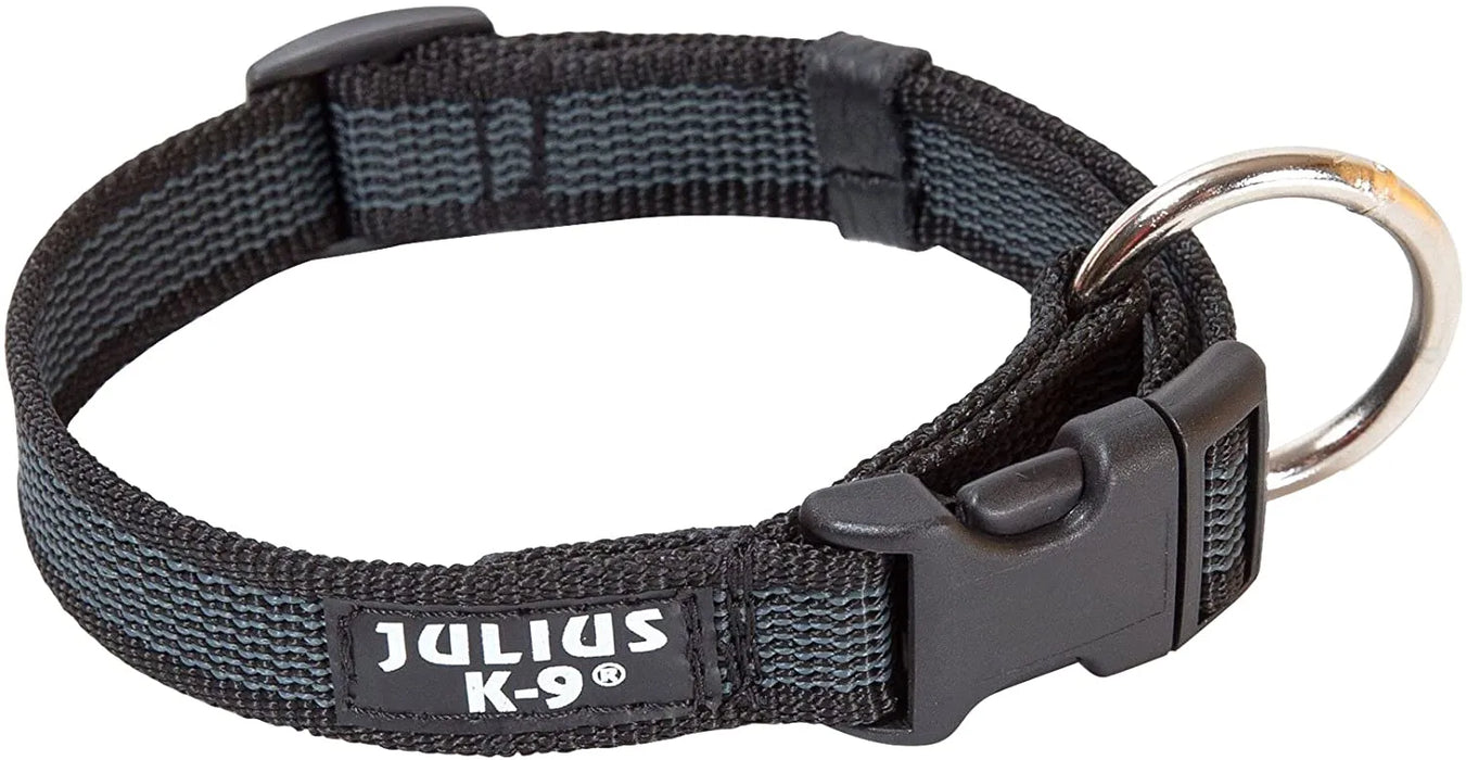 Coleira Julius-K9 - Cinza e Côr com pega, fecho de segurança e patch intermutável - PetDoctors - Loja Online