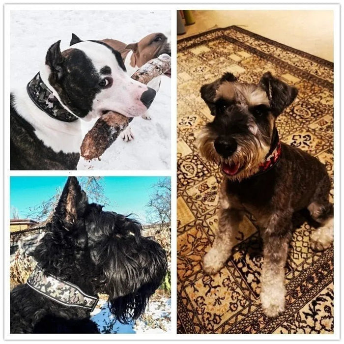 Coleira Larga Acolchoada e Reflectora para Cães - PetDoctors - Loja Online