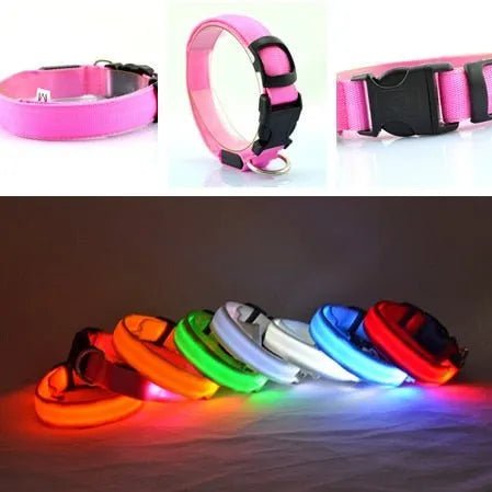 Coleira Luminosa LED para Cães ou Gatos - PetDoctors - Loja Online