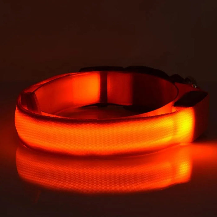 Coleira Luminosa LED para Cães ou Gatos - PetDoctors - Loja Online