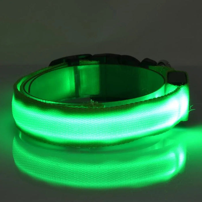 Coleira Luminosa LED para Cães ou Gatos - PetDoctors - Loja Online