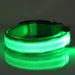 Coleira Luminosa LED para Cães ou Gatos - PetDoctors - Loja Online