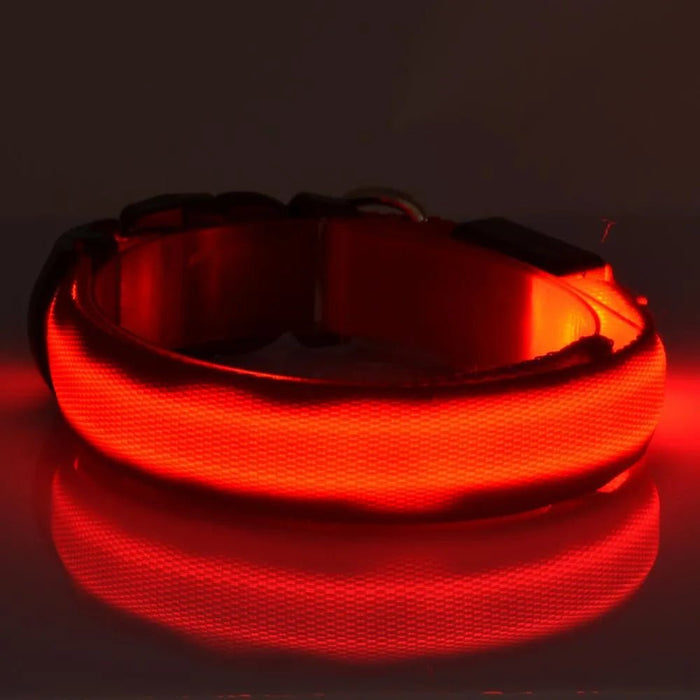 Coleira Luminosa LED para Cães ou Gatos - PetDoctors - Loja Online