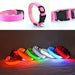 Coleira Luminosa LED para Cães ou Gatos - PetDoctors - Loja Online