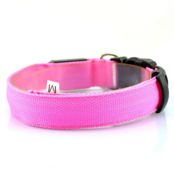 Coleira Luminosa LED para Cães ou Gatos - PetDoctors - Loja Online