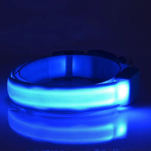 Coleira Luminosa LED para Cães ou Gatos - PetDoctors - Loja Online
