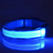 Coleira Luminosa LED para Cães ou Gatos - PetDoctors - Loja Online