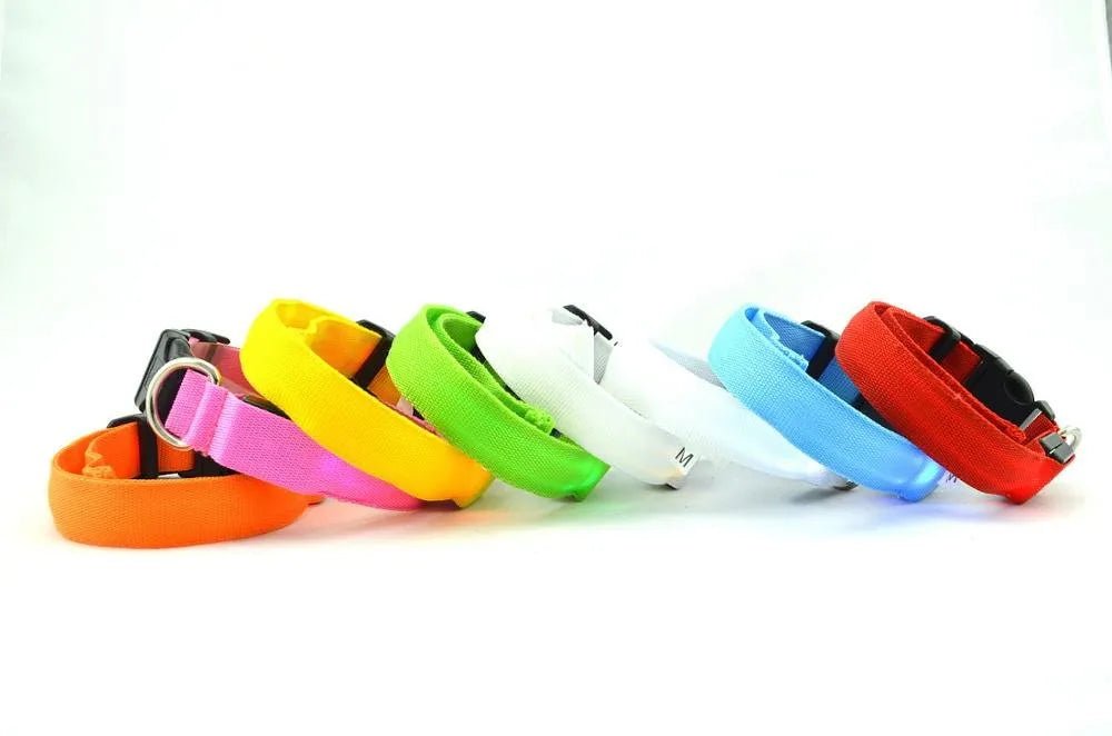 Coleira Luminosa LED para Cães ou Gatos - PetDoctors - Loja Online