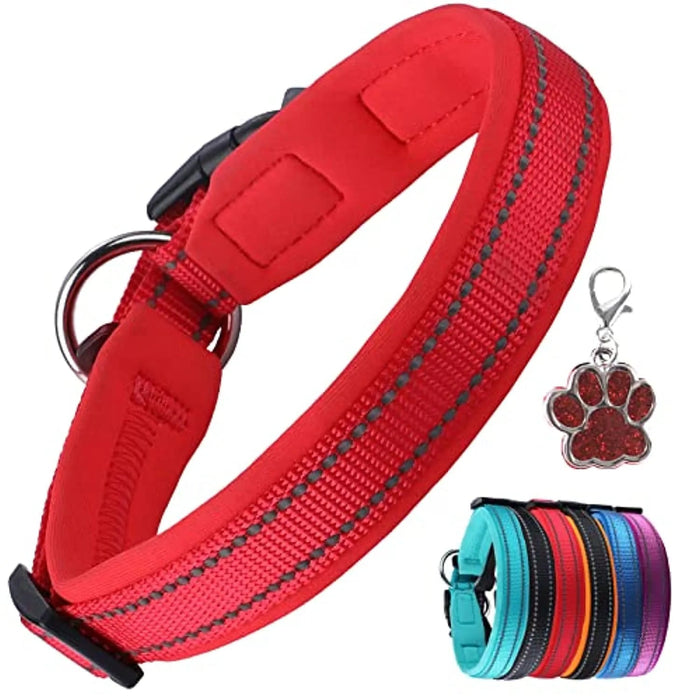 Coleira para cães ou gatos, macia, acolchoada, reflectora, em neoprene ajustável - PetDoctors - Loja Online