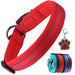 Coleira para cães ou gatos, macia, acolchoada, reflectora, em neoprene ajustável - PetDoctors - Loja Online