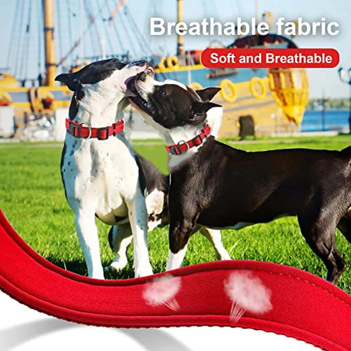 Coleira para cães ou gatos, macia, acolchoada, reflectora, em neoprene ajustável - PetDoctors - Loja Online