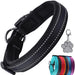 Coleira para cães ou gatos, macia, acolchoada, reflectora, em neoprene ajustável - PetDoctors - Loja Online