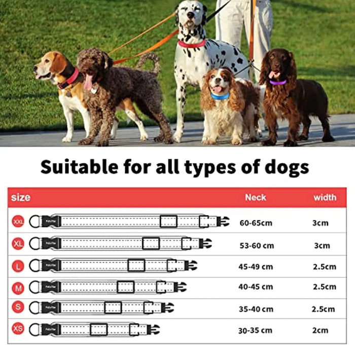 Coleira para cães ou gatos, macia, acolchoada, reflectora, em neoprene ajustável - PetDoctors - Loja Online