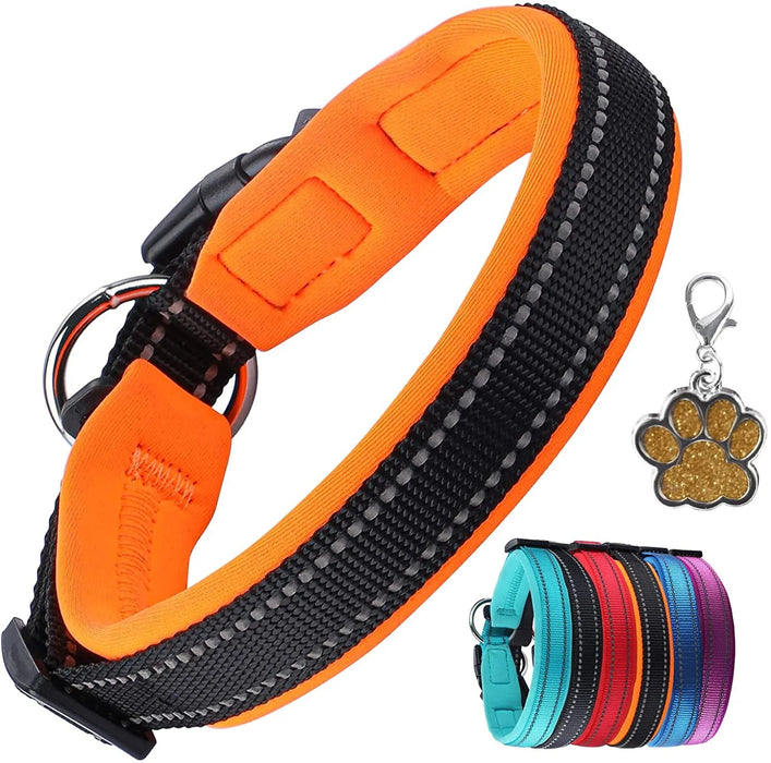 Coleira para cães ou gatos, macia, acolchoada, reflectora, em neoprene ajustável - PetDoctors - Loja Online