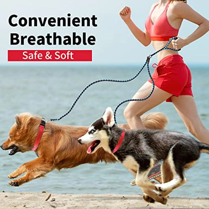 Coleira para cães ou gatos, macia, acolchoada, reflectora, em neoprene ajustável - PetDoctors - Loja Online