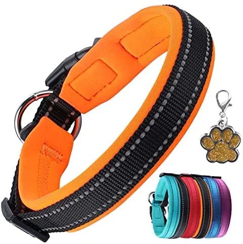 Coleira para cães ou gatos, macia, acolchoada, reflectora, em neoprene ajustável - PetDoctors - Loja Online