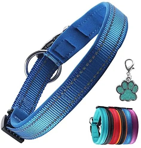Coleira para cães ou gatos, macia, acolchoada, reflectora, em neoprene ajustável - PetDoctors - Loja Online