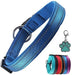 Coleira para cães ou gatos, macia, acolchoada, reflectora, em neoprene ajustável - PetDoctors - Loja Online