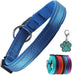 Coleira para cães ou gatos, macia, acolchoada, reflectora, em neoprene ajustável - PetDoctors - Loja Online