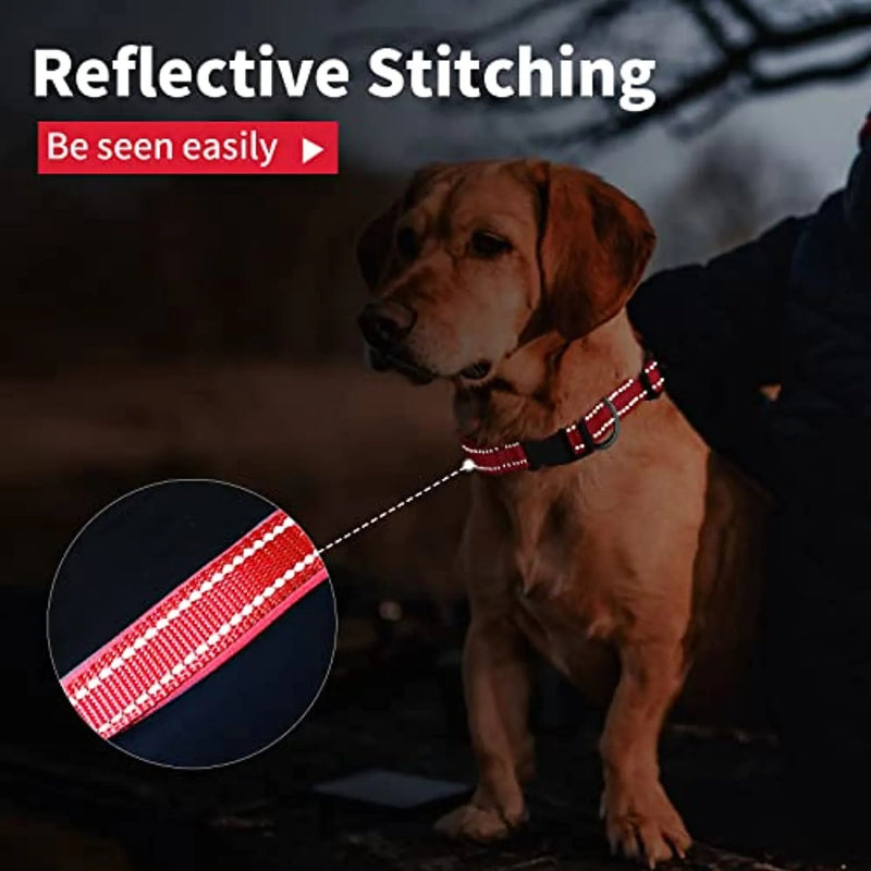 Coleira para cães ou gatos, macia, acolchoada, reflectora, em neoprene ajustável - PetDoctors - Loja Online