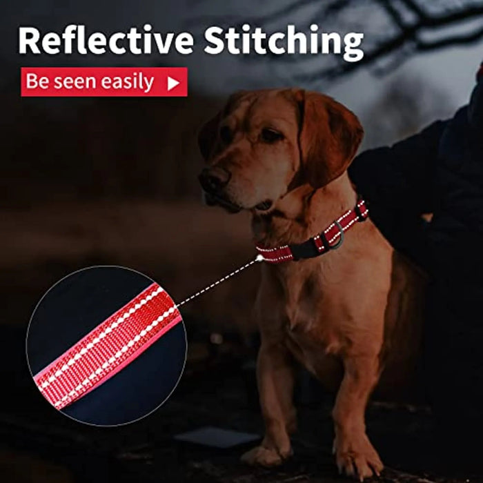 Coleira para cães ou gatos, macia, acolchoada, reflectora, em neoprene ajustável - PetDoctors - Loja Online