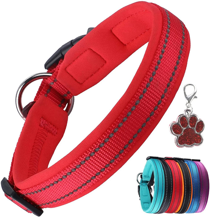 Coleira para cães ou gatos, macia, acolchoada, reflectora, em neoprene ajustável - PetDoctors - Loja Online
