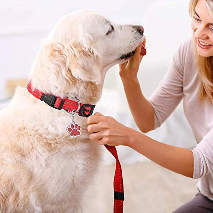 Coleira para cães ou gatos, macia, acolchoada, reflectora, em neoprene ajustável - PetDoctors - Loja Online