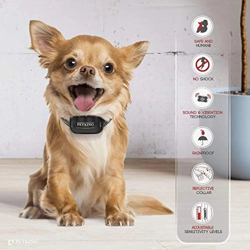 Coleira Premium Anti - latidos para Cães Pequenos e Grandes (Coleira de treino anti - latido: funciona por vibração) - PetDoctors - Loja Online