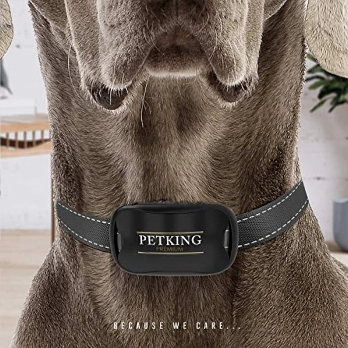 Coleira Premium Anti - latidos para Cães Pequenos e Grandes (Coleira de treino anti - latido: funciona por vibração) - PetDoctors - Loja Online
