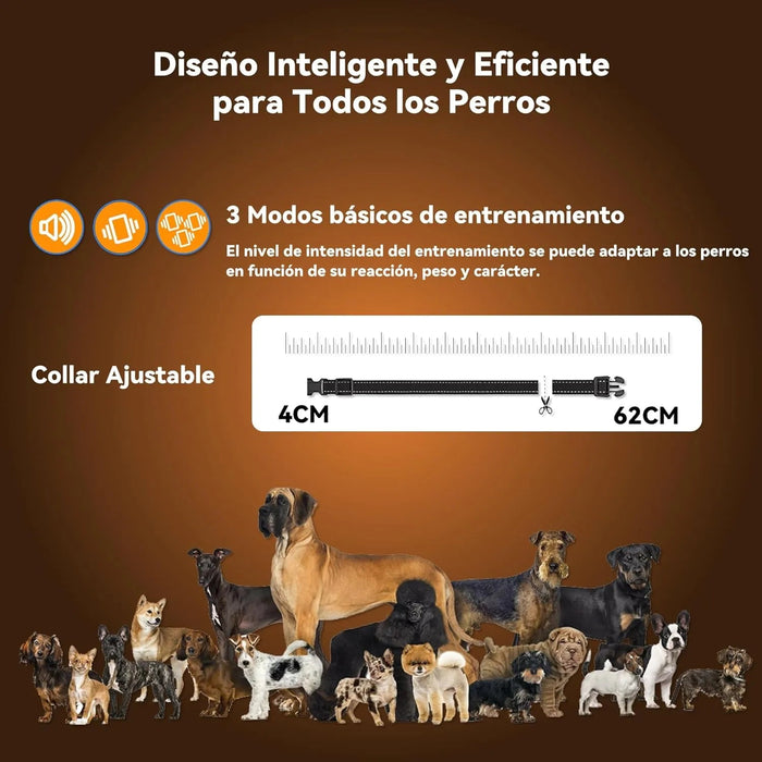 Coleira treino cães, alcance remoto de 2500 m com bloqueio de segurança, 4 modos de treino luz LED/som/vibração/forte vibração, resistente à água e recarregável - PetDoctors - Loja Online