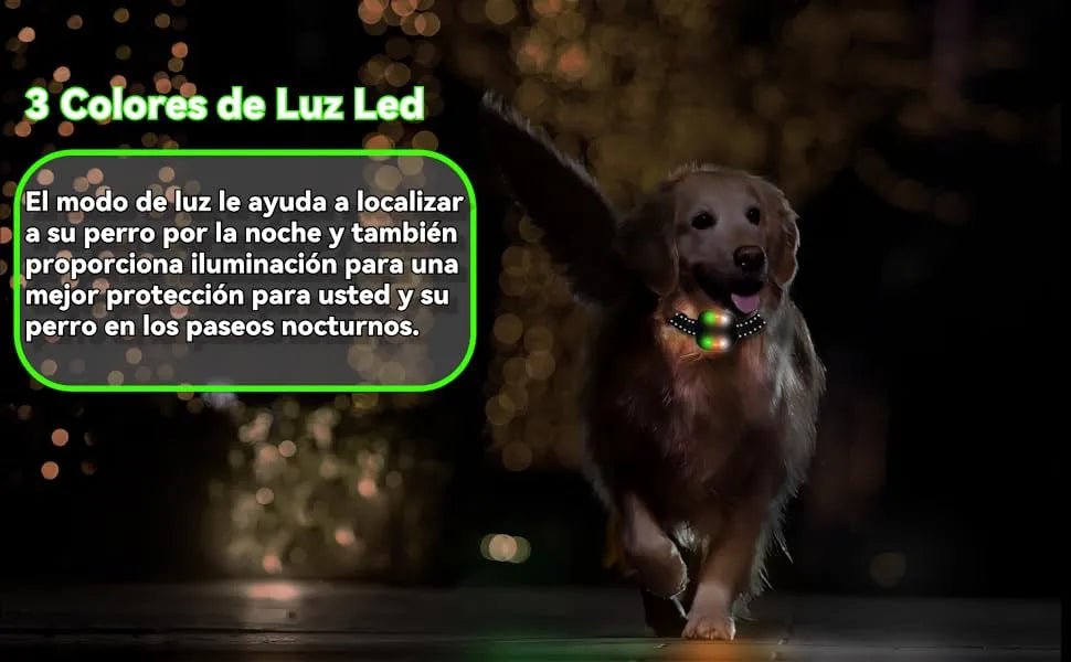 Coleira treino cães, alcance remoto de 2500 m com bloqueio de segurança, 4 modos de treino luz LED/som/vibração/forte vibração, resistente à água e recarregável - PetDoctors - Loja Online